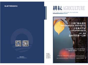 首页- 英国立博ladbrokes公司官网